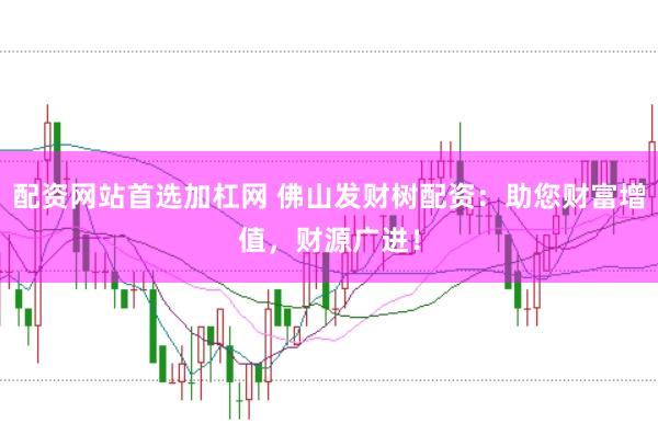 配资网站首选加杠网 佛山发财树配资：助您财富增值，财源广进！