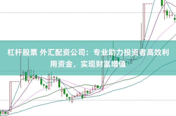 杠杆股票 外汇配资公司：专业助力投资者高效利用资金，实现财富增值