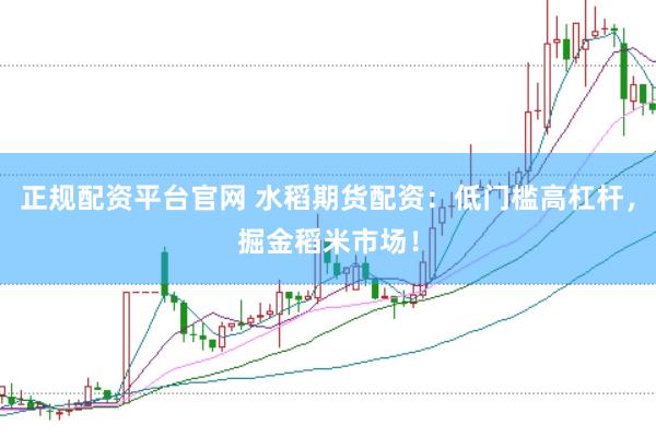 正规配资平台官网 水稻期货配资：低门槛高杠杆，掘金稻米市场！