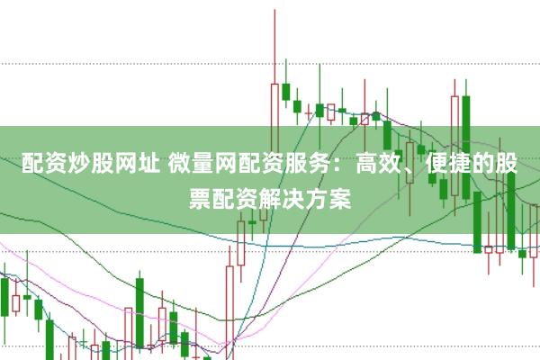 配资炒股网址 微量网配资服务：高效、便捷的股票配资解决方案
