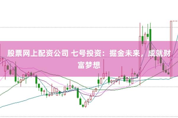 股票网上配资公司 七号投资：掘金未来，成就财富梦想